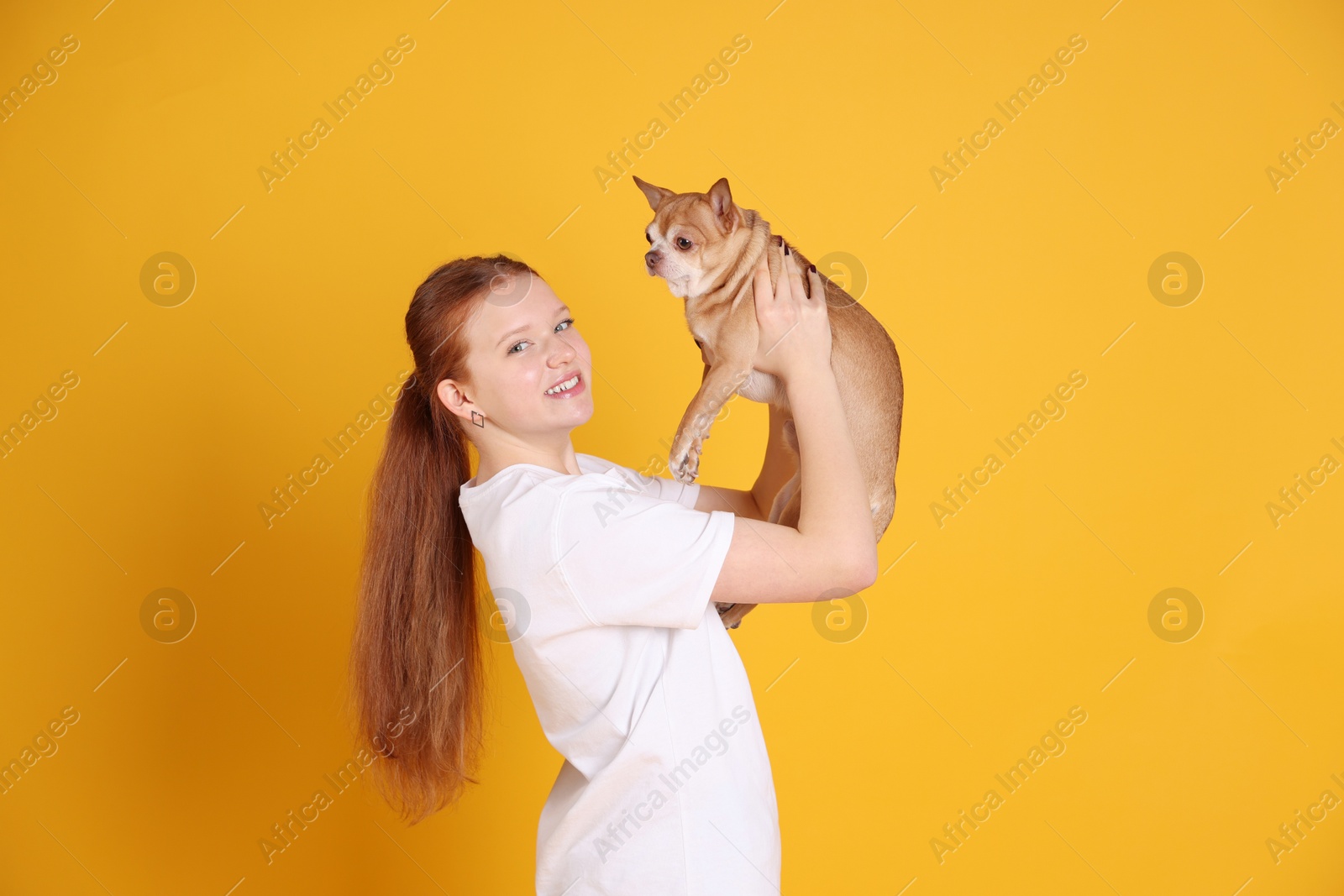 Photo of Teenage girl with her cute Chihuahua dog on yellow background