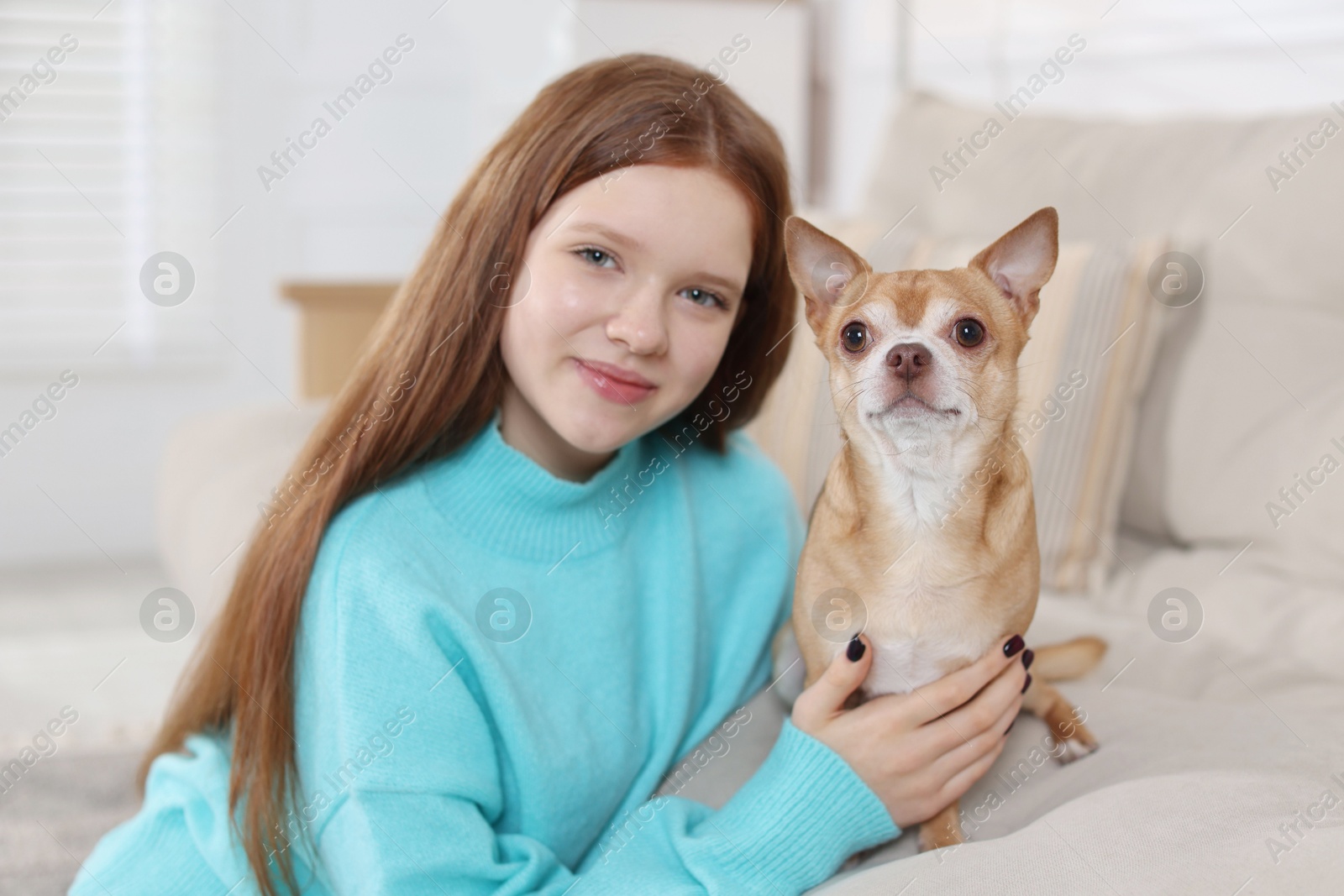 Photo of Teenage girl with her cute Chihuahua dog on sofa at home