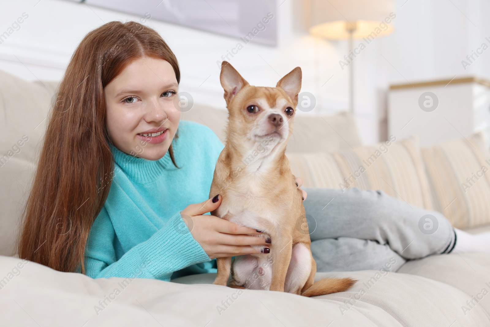 Photo of Teenage girl with her cute Chihuahua dog on sofa at home