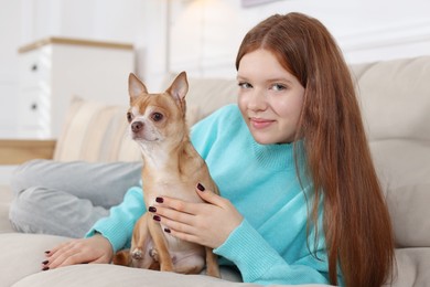 Photo of Teenage girl with her cute Chihuahua dog on sofa at home