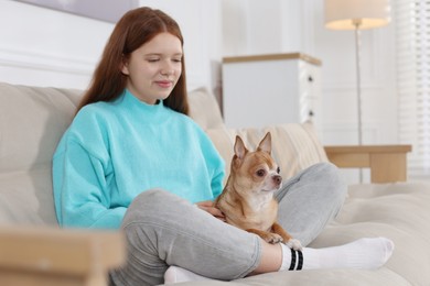 Photo of Teenage girl with her cute Chihuahua dog on sofa at home