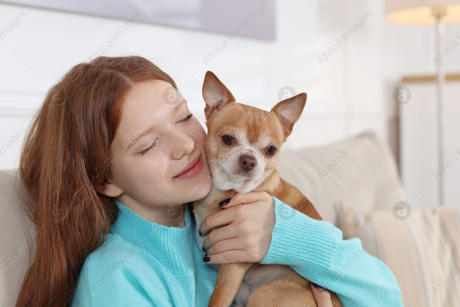 Photo of Teenage girl with her cute Chihuahua dog on sofa at home