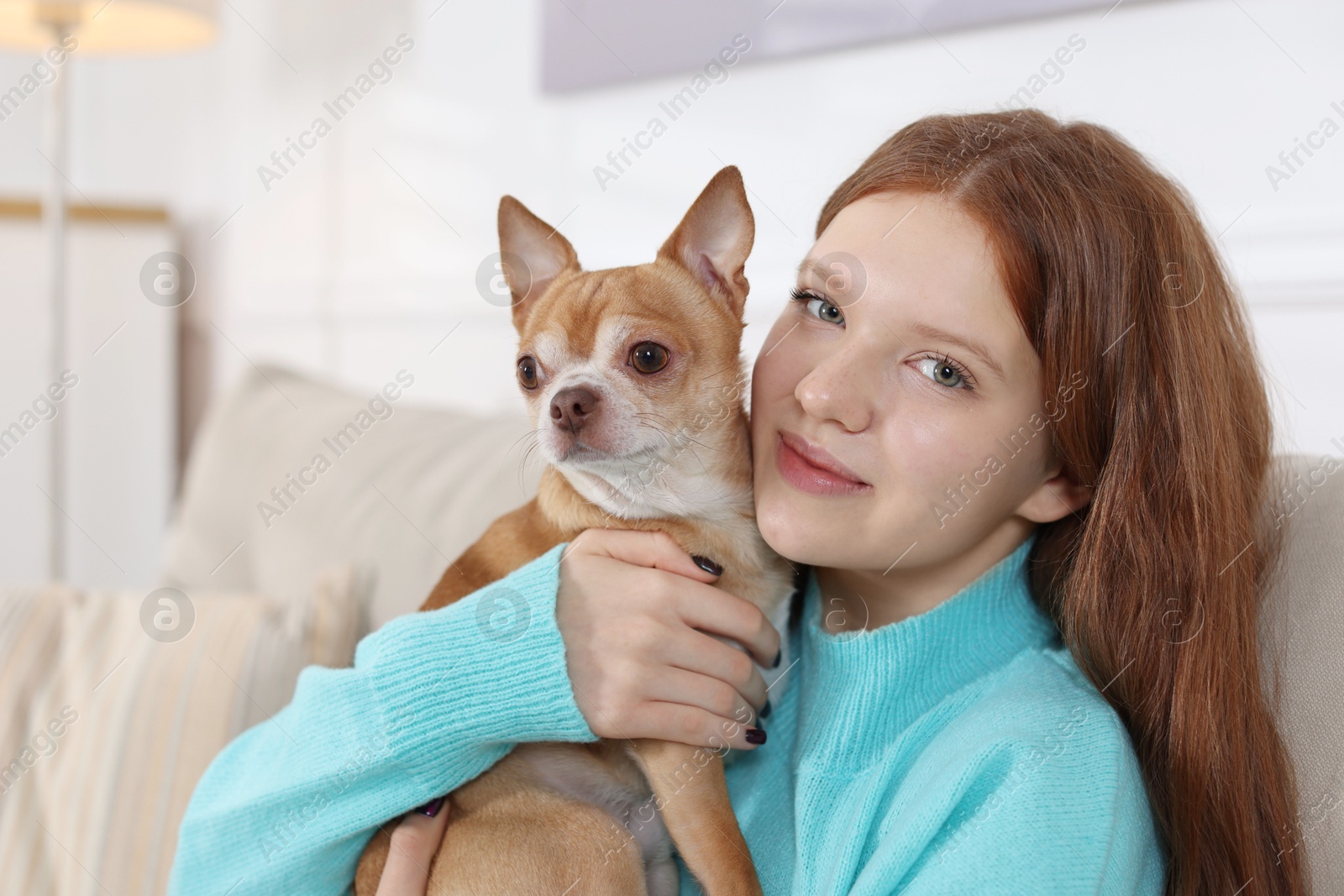 Photo of Teenage girl with her cute Chihuahua dog on sofa at home