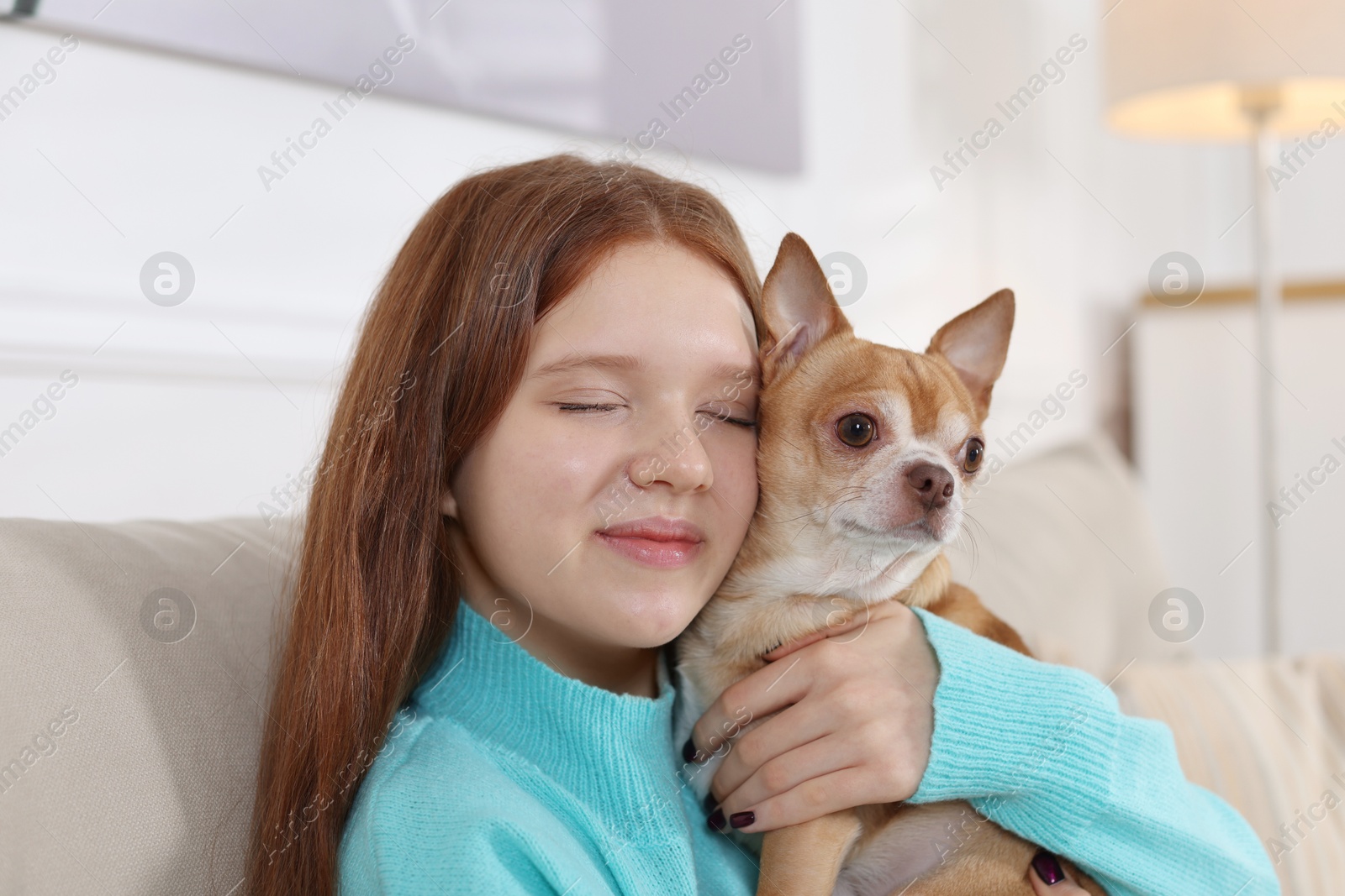 Photo of Teenage girl with her cute Chihuahua dog on sofa at home