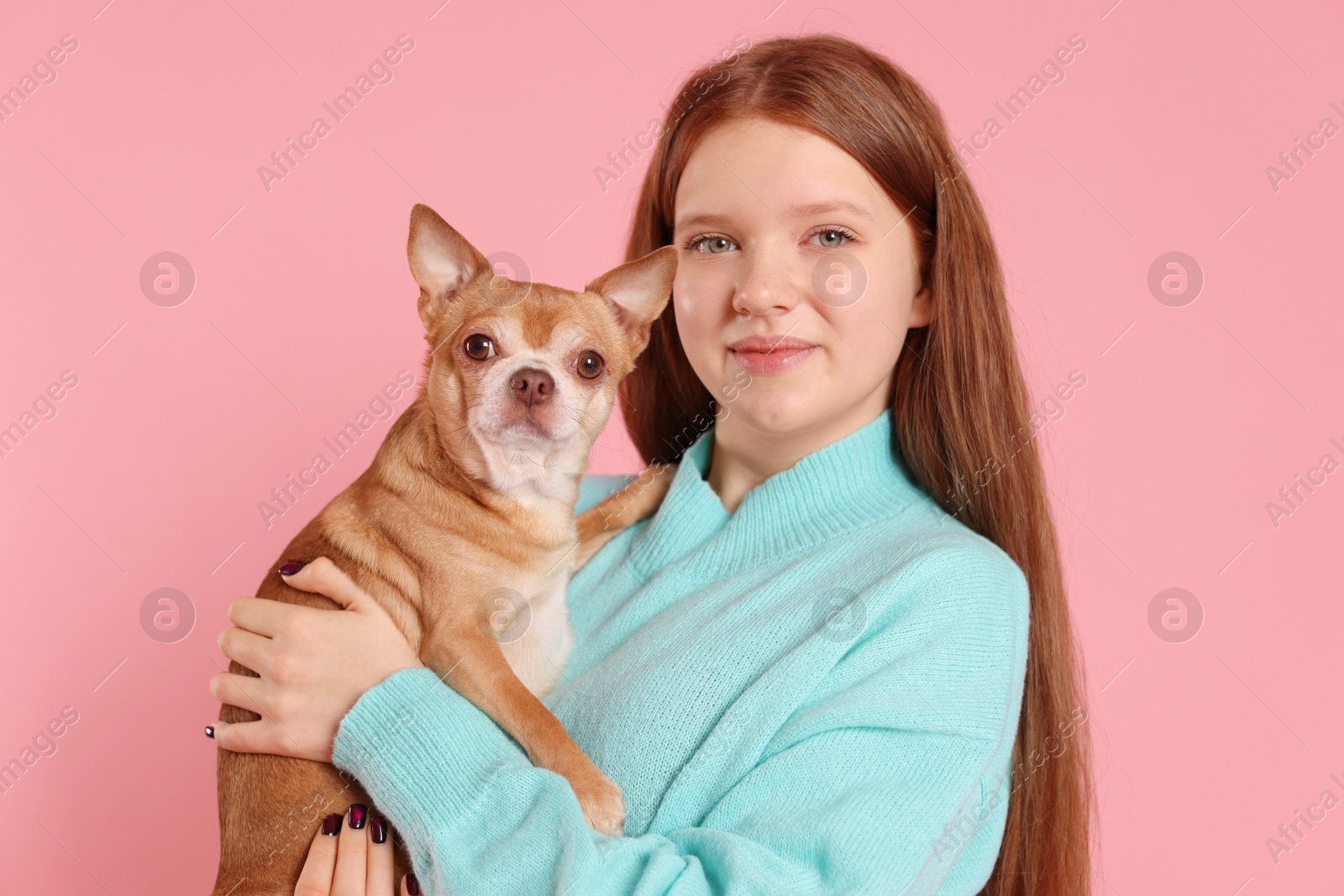 Photo of Teenage girl with her cute Chihuahua dog on pink background