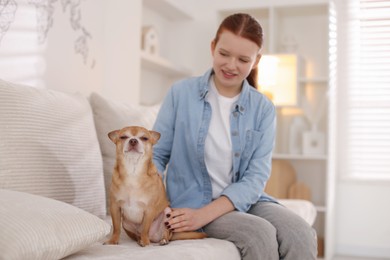 Photo of Teenage girl with her cute Chihuahua dog on sofa at home, selective focus