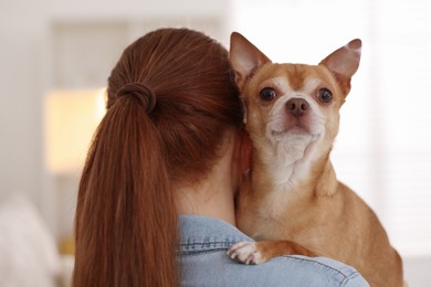 Photo of Teenage girl with her cute Chihuahua dog at home, back view