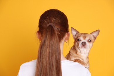 Photo of Teenage girl with her cute Chihuahua dog on yellow background, back view