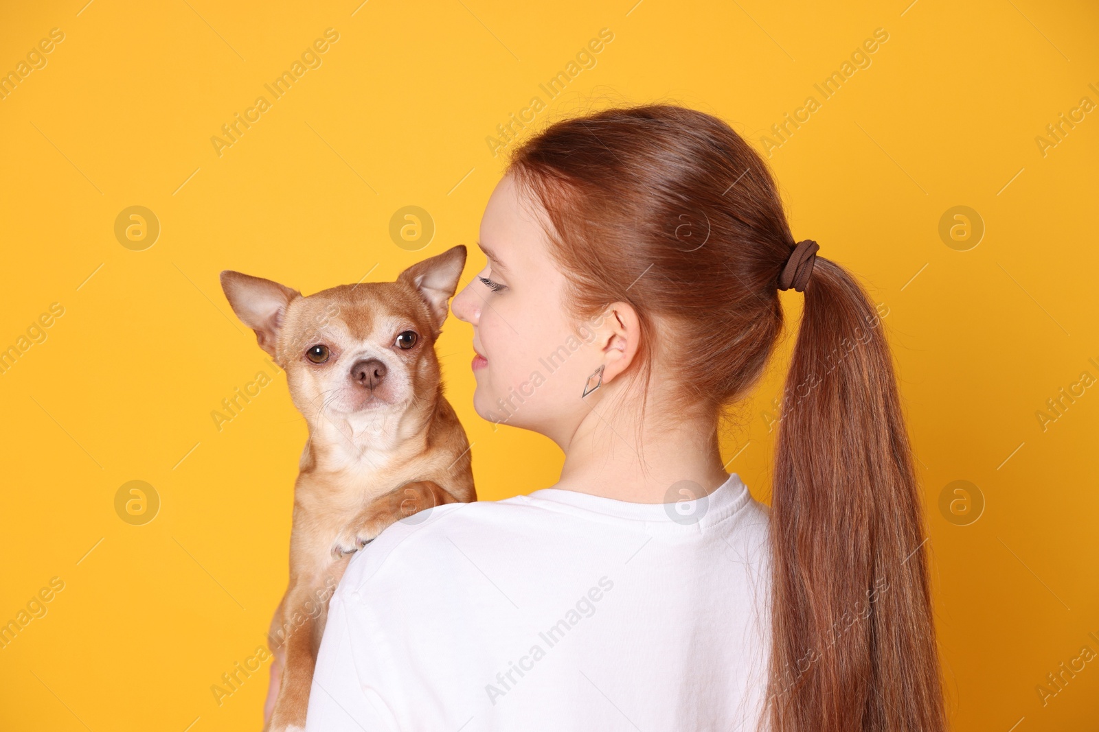 Photo of Teenage girl with her cute Chihuahua dog on yellow background