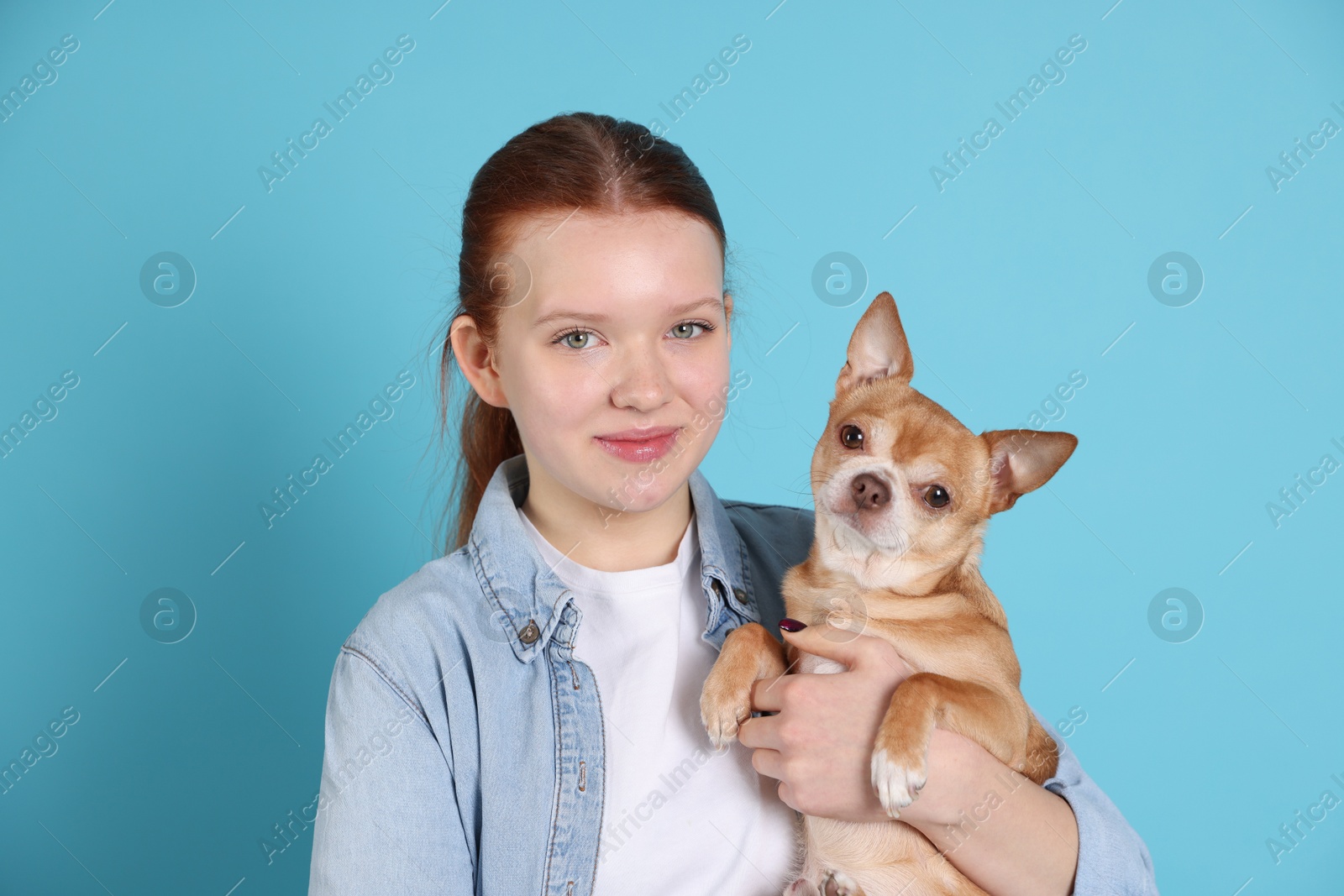 Photo of Teenage girl with her cute Chihuahua dog on light blue background