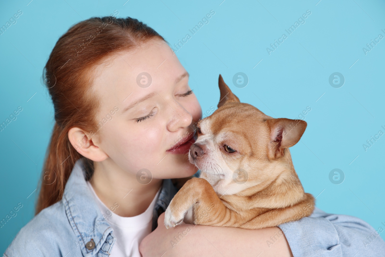 Photo of Teenage girl with her cute Chihuahua dog on light blue background