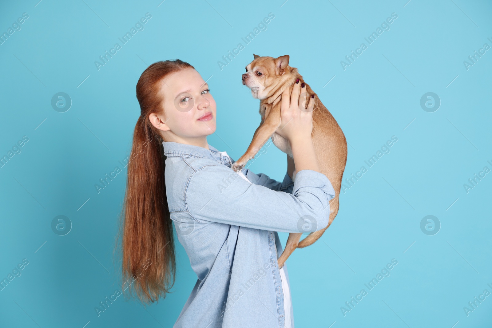 Photo of Teenage girl with her cute Chihuahua dog on light blue background