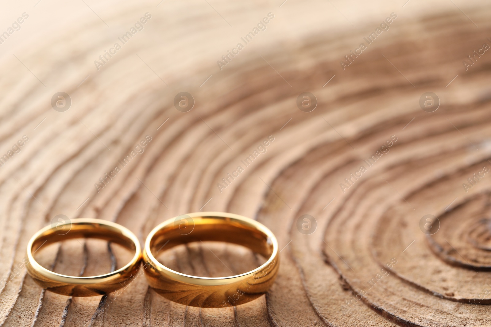 Photo of Beautiful golden wedding rings on tree stump, space for text