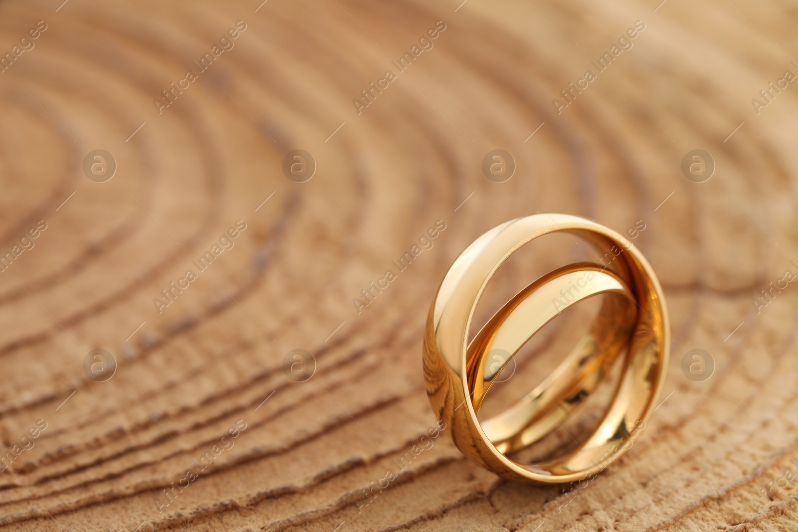 Photo of Beautiful golden wedding rings on tree stump, space for text