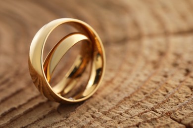 Photo of Beautiful golden wedding rings on tree stump, closeup