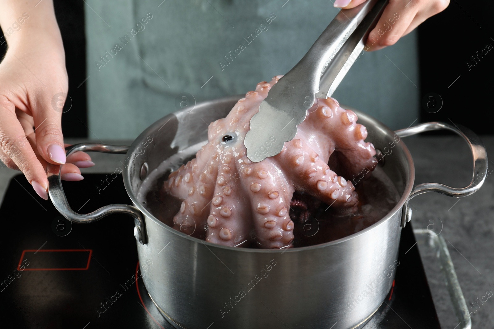 Photo of Woman taking boiled octopus from pan on stove, closeup