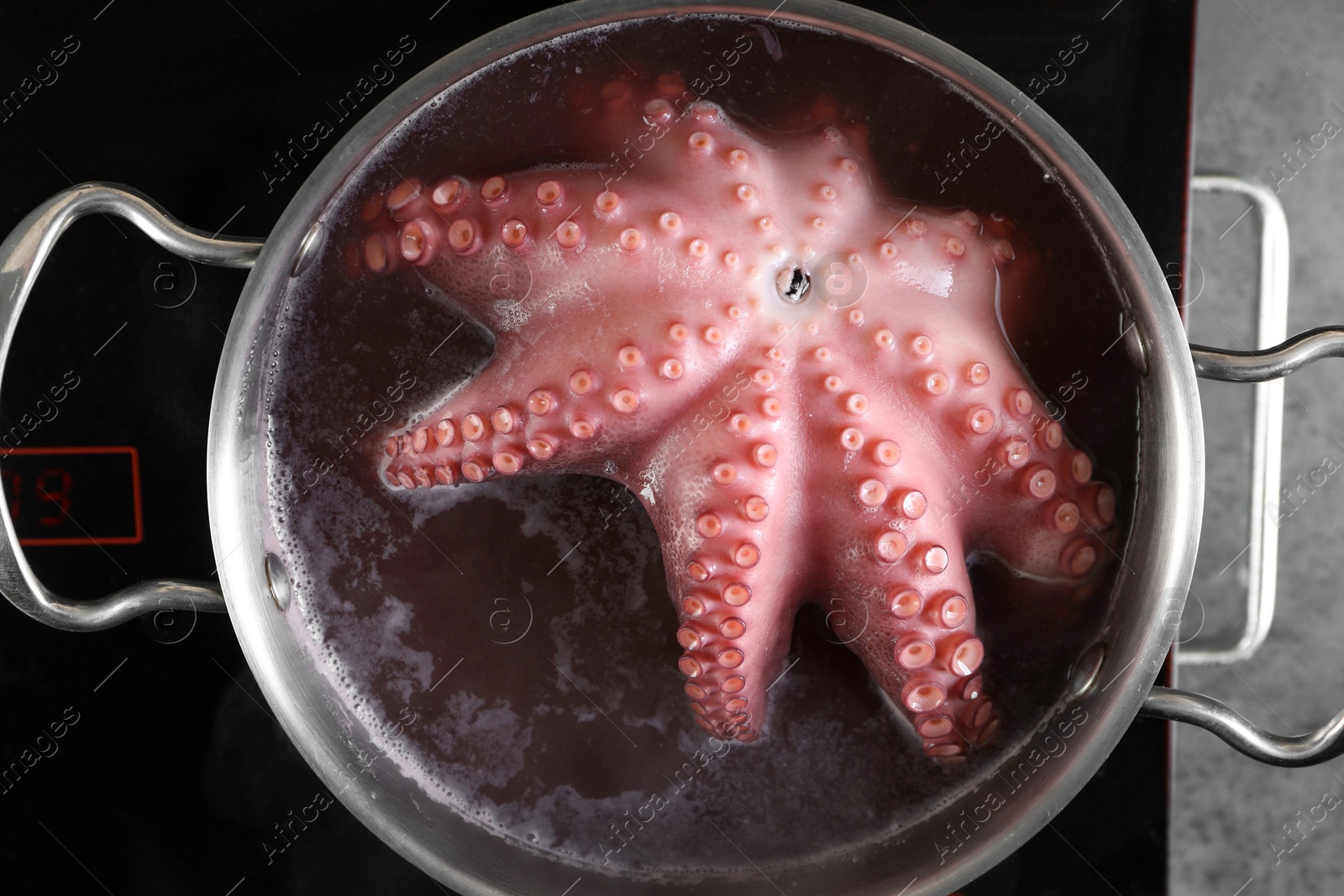 Photo of Fresh octopus boiling in pan on stove, closeup