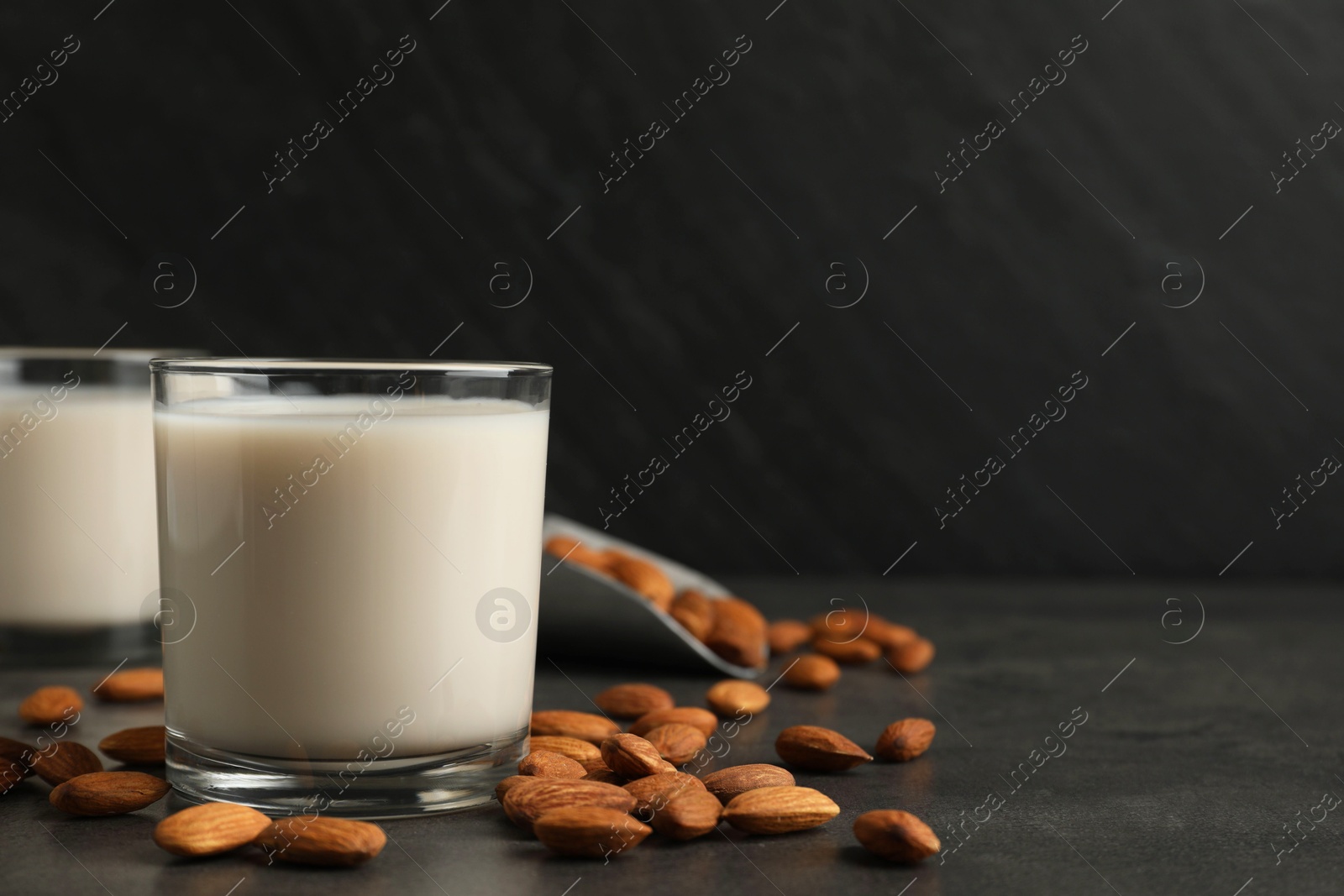 Photo of Fresh almond milk in glasses and nuts on dark grey table, space for text