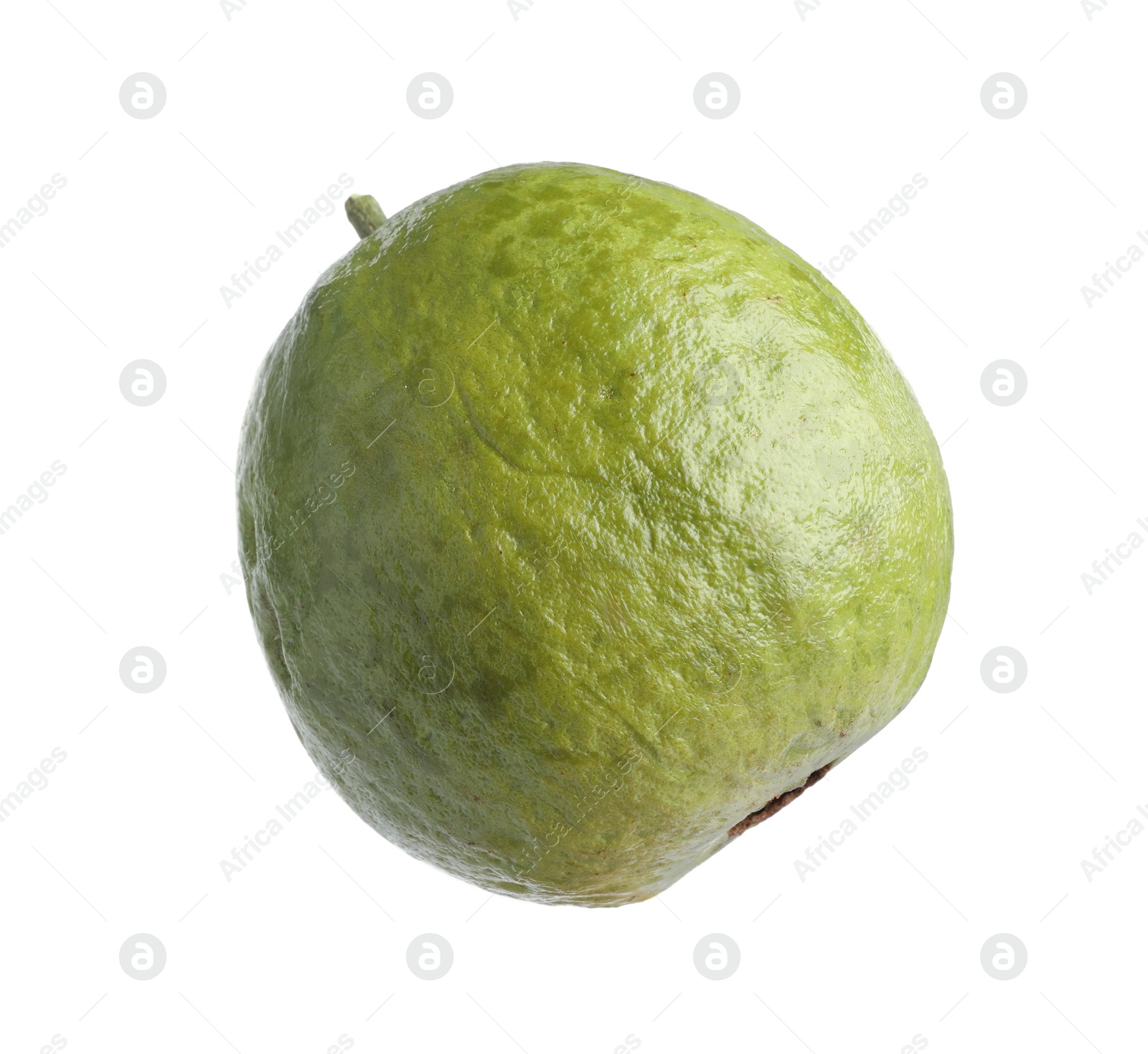 Photo of One fresh guava fruit isolated on white