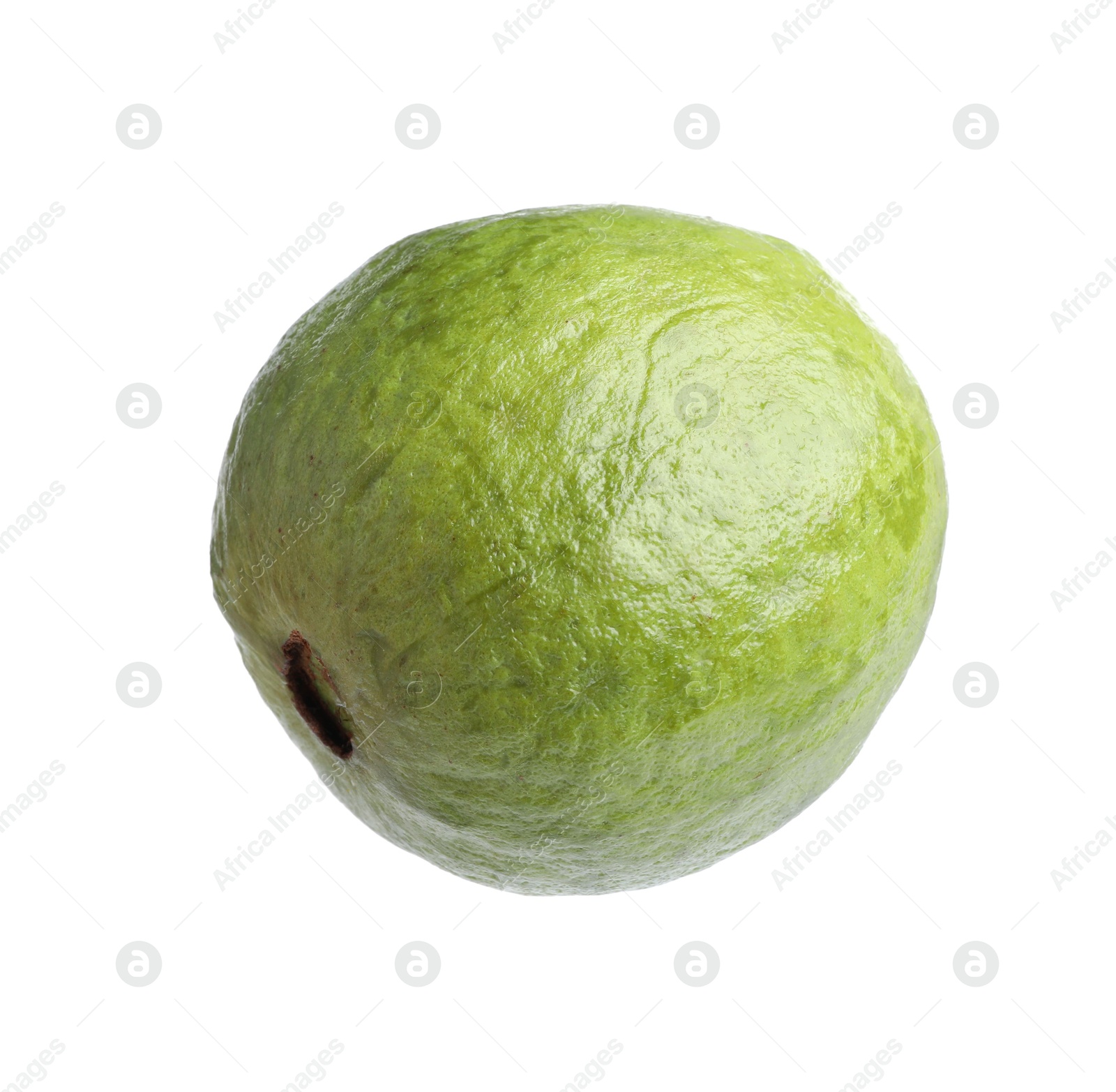 Photo of One fresh guava fruit isolated on white