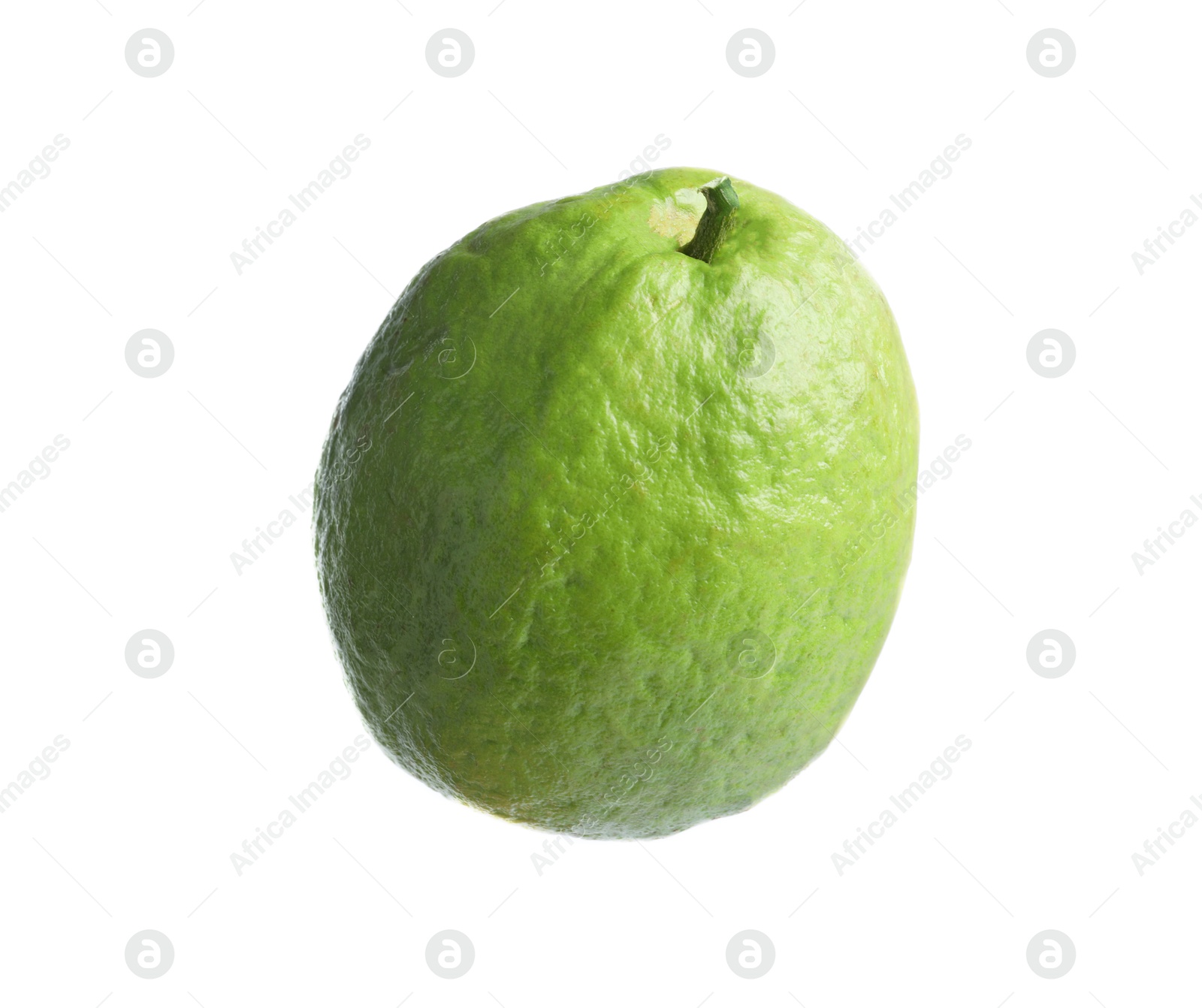 Photo of One fresh guava fruit isolated on white