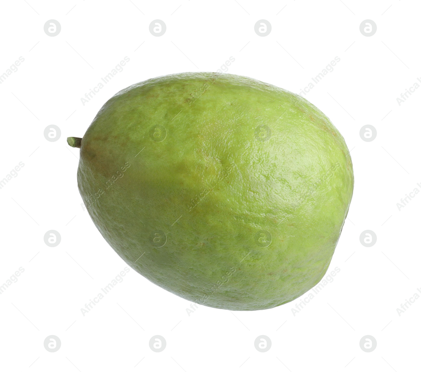 Photo of One fresh guava fruit isolated on white