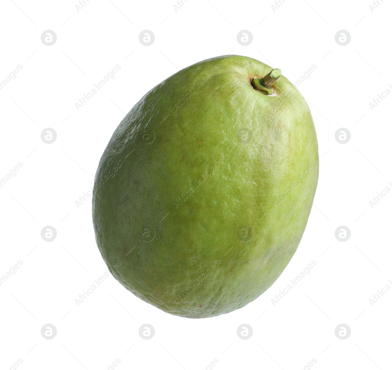 Photo of One fresh guava fruit isolated on white