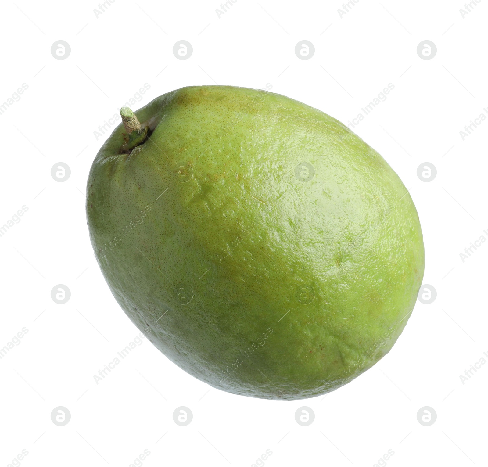 Photo of One fresh guava fruit isolated on white