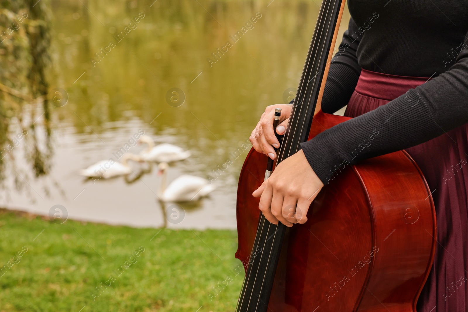 Photo of Woman with cello in park, closeup. Space for text