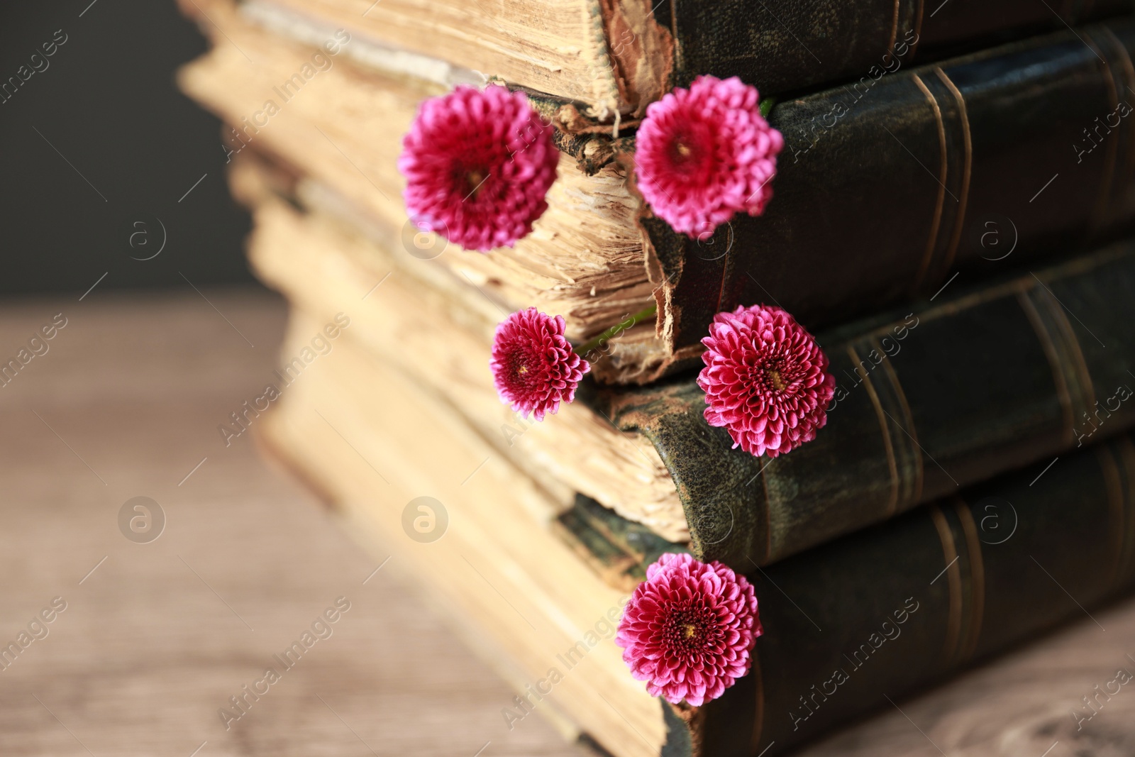 Photo of Stack of books and beautiful flowers on table, closeup