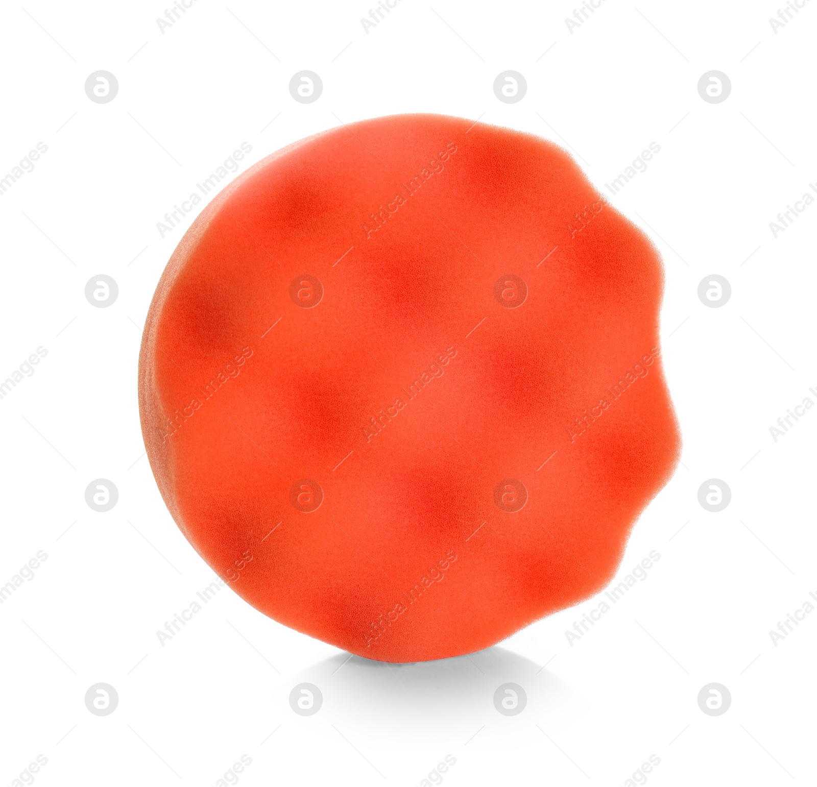 Photo of One orbital polisher pad isolated on white