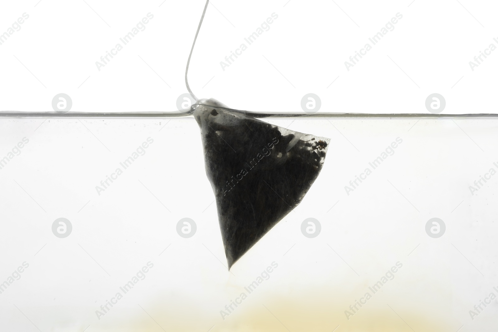 Photo of Putting tea bag into glass cup on white background, closeup