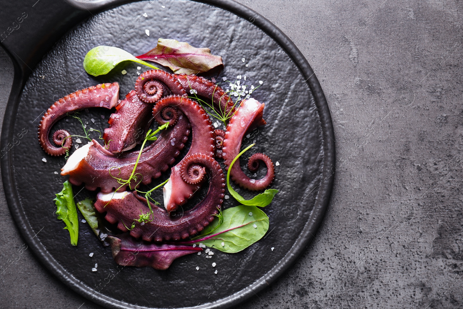 Photo of Tasty boiled octopus tentacles, microgreens and salt on grey textured table, top view. Space for text