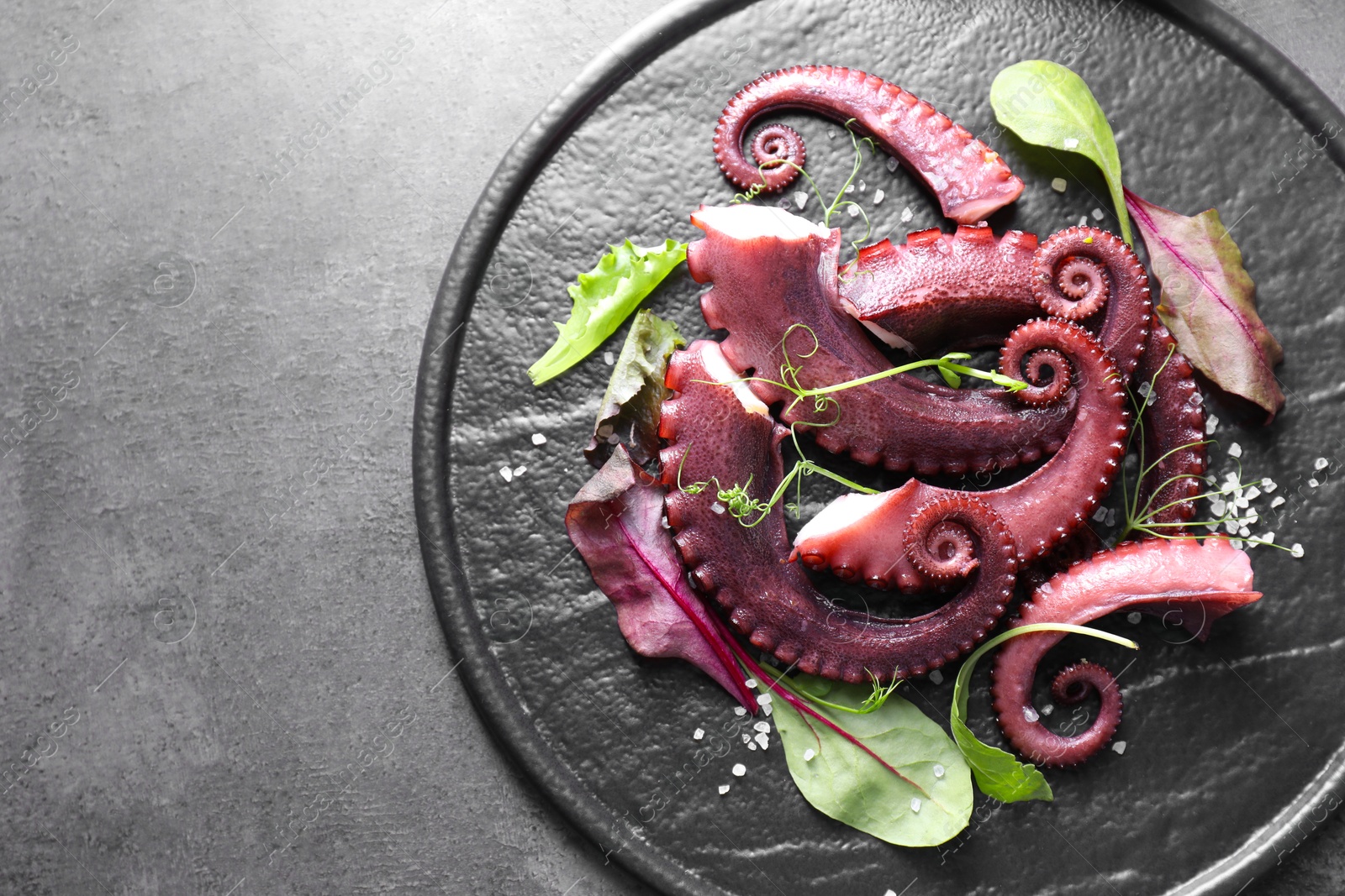 Photo of Tasty boiled octopus tentacles, microgreens and salt on grey textured table, top view. Space for text