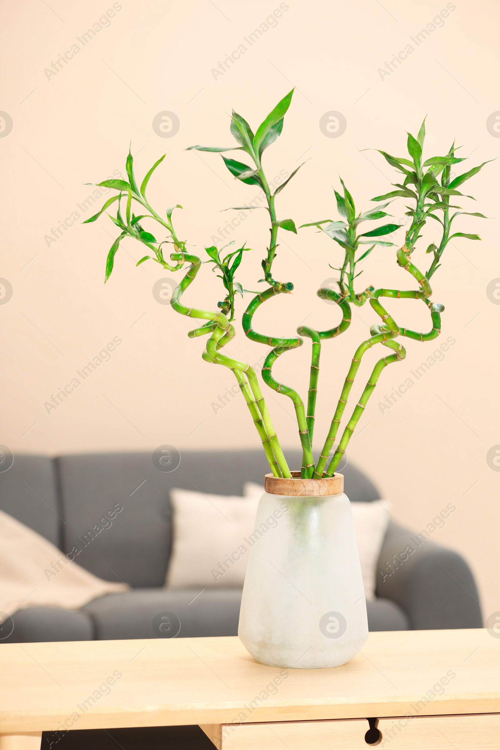 Photo of Decorative bamboo plant in vase on table indoors