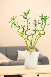 Photo of Decorative bamboo plant in vase on table indoors