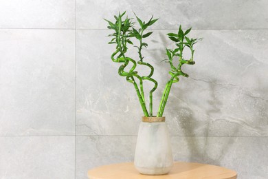 Photo of Decorative bamboo plant in vase on table near light tiled wall. Space for text