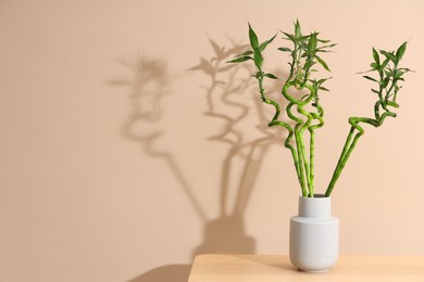 Photo of Decorative bamboo plant in vase on table near beige wall. Space for text