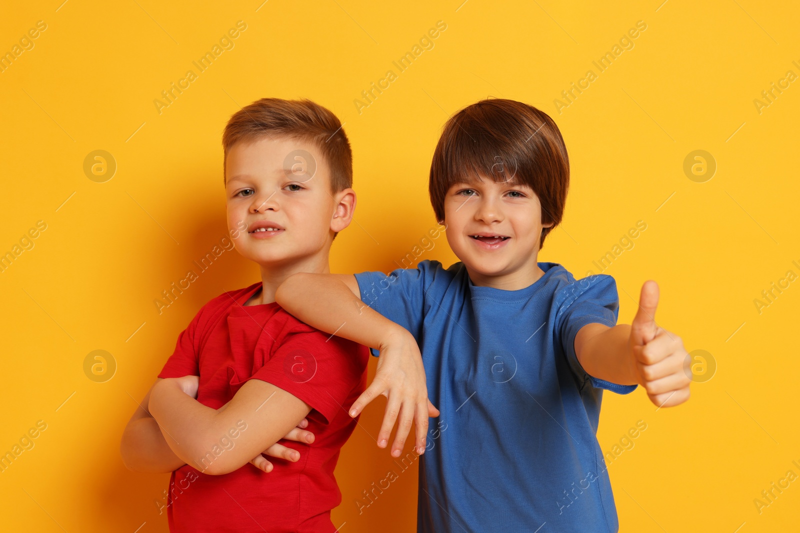 Photo of Portrait of cute brothers on orange background