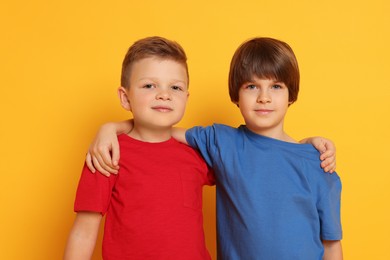 Photo of Portrait of cute brothers on orange background