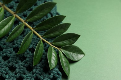 Photo of Macrame shopping bag and branch with leaves on green background, closeup. Space for text