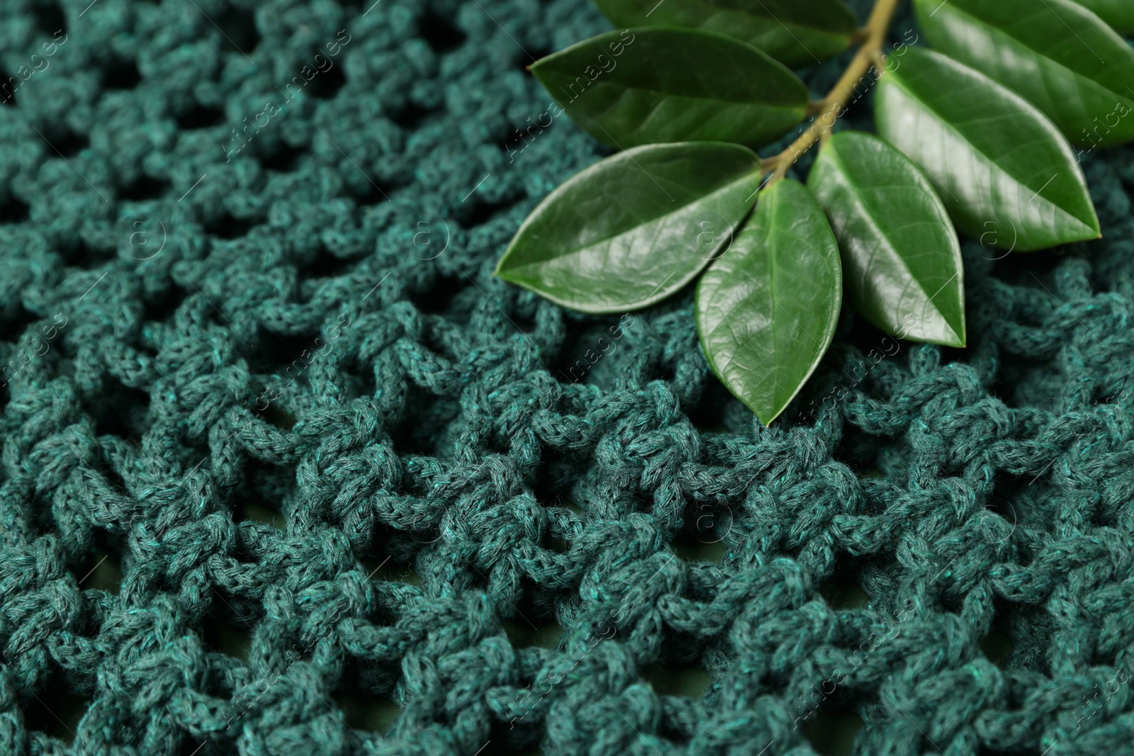 Photo of Macrame shopping bag and branch with leaves as background, closeup