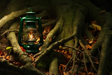 Photo of Vintage kerosene lamp near tree in forest at evening, space for text