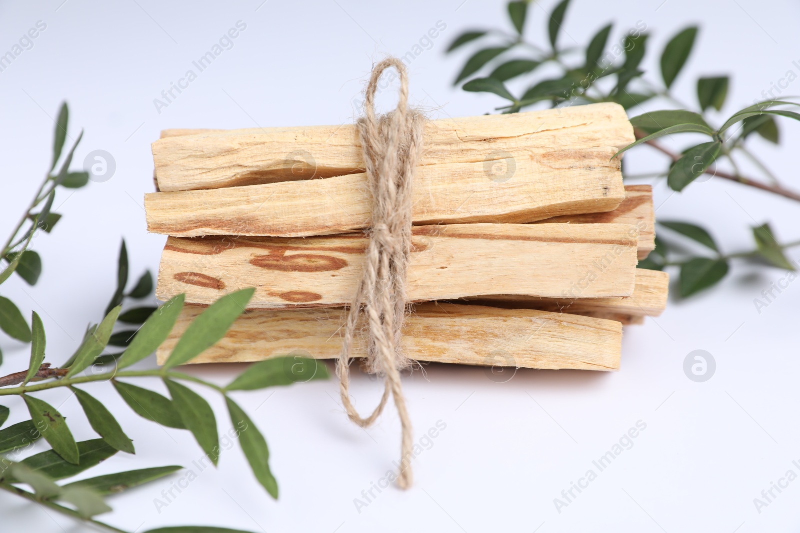 Photo of Bunch of palo santo sticks and green branches on white background, closeup