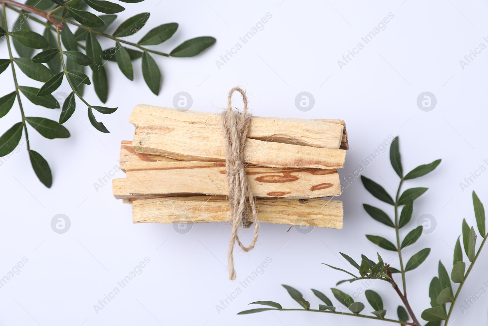 Photo of Bunch of palo santo sticks and green branches on white background, flat lay