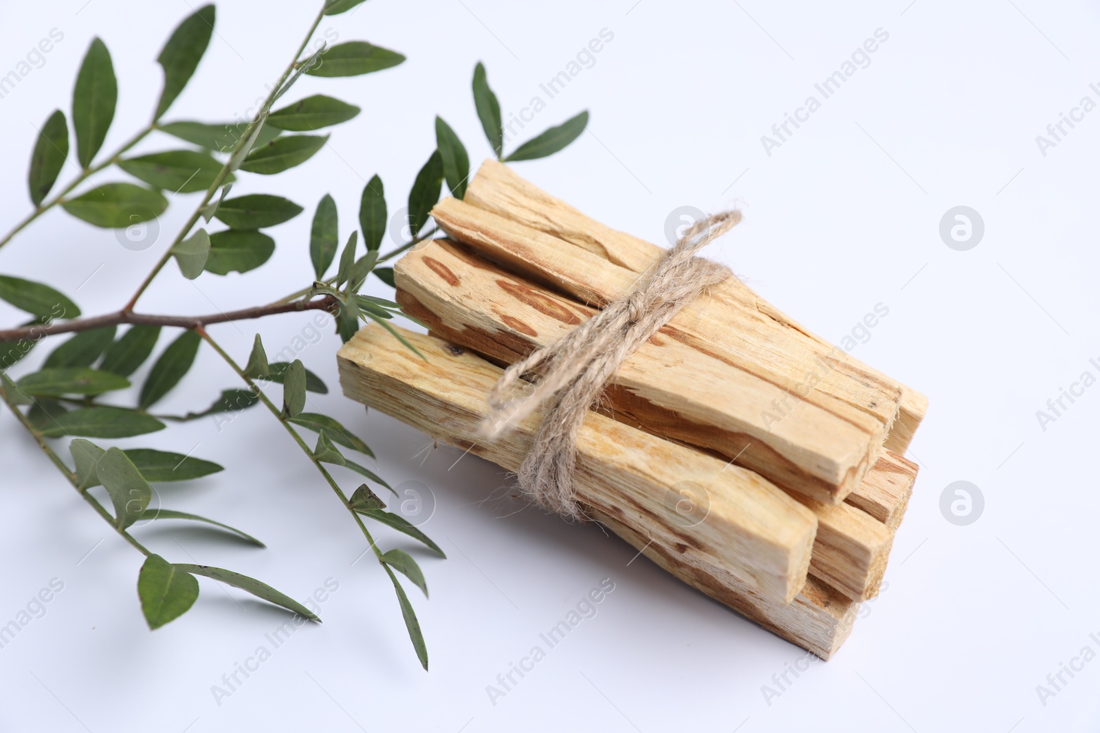 Photo of Bunch of palo santo sticks and green branch on white background, closeup