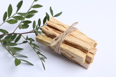 Photo of Bunch of palo santo sticks and green branch on white background, closeup