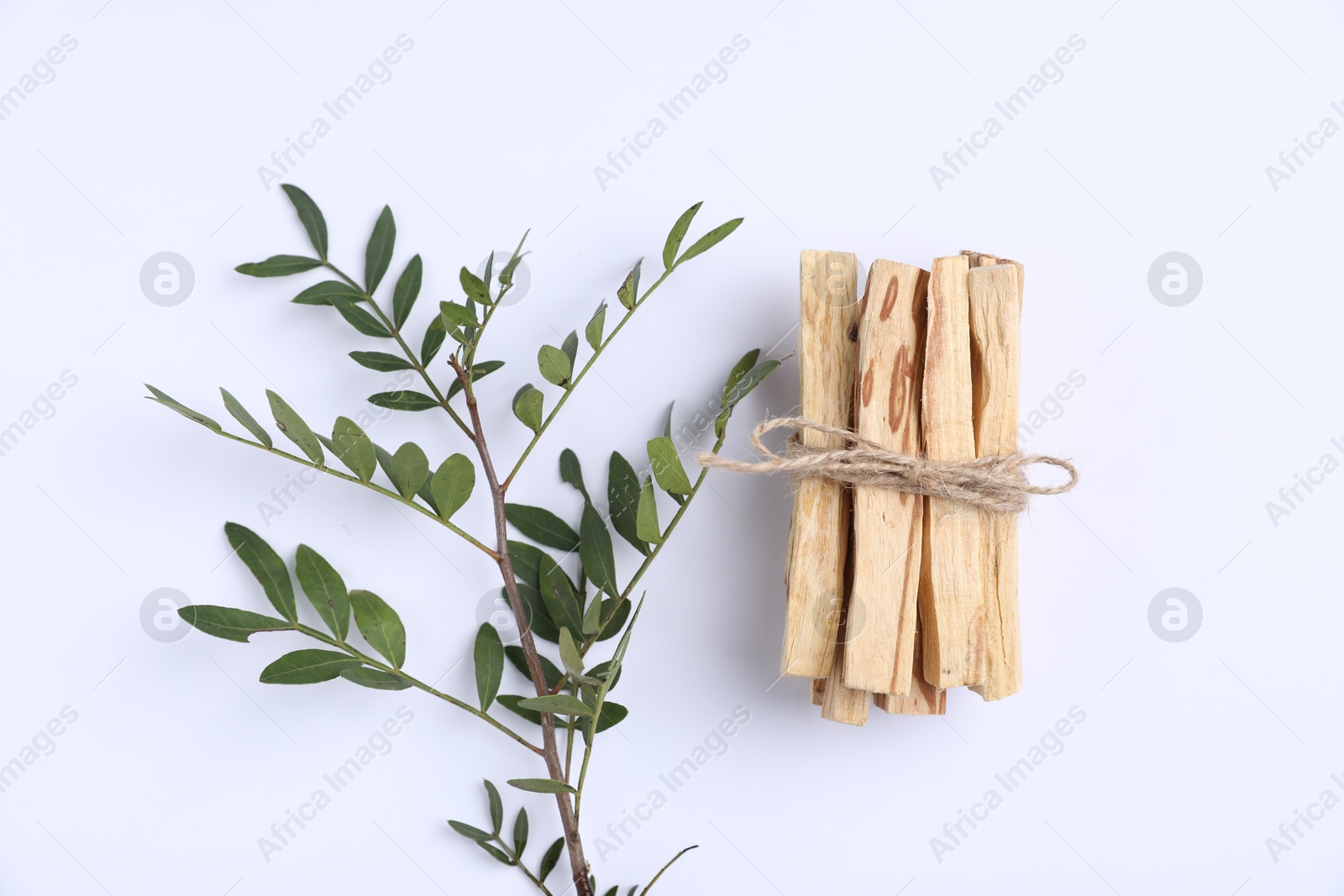 Photo of Bunch of palo santo sticks and green branch on white background, flat lay