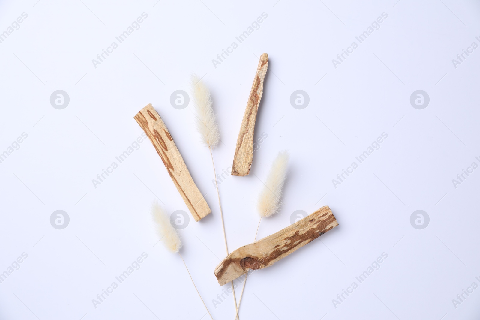 Photo of Palo santo sticks and dry spikes on white background, flat lay