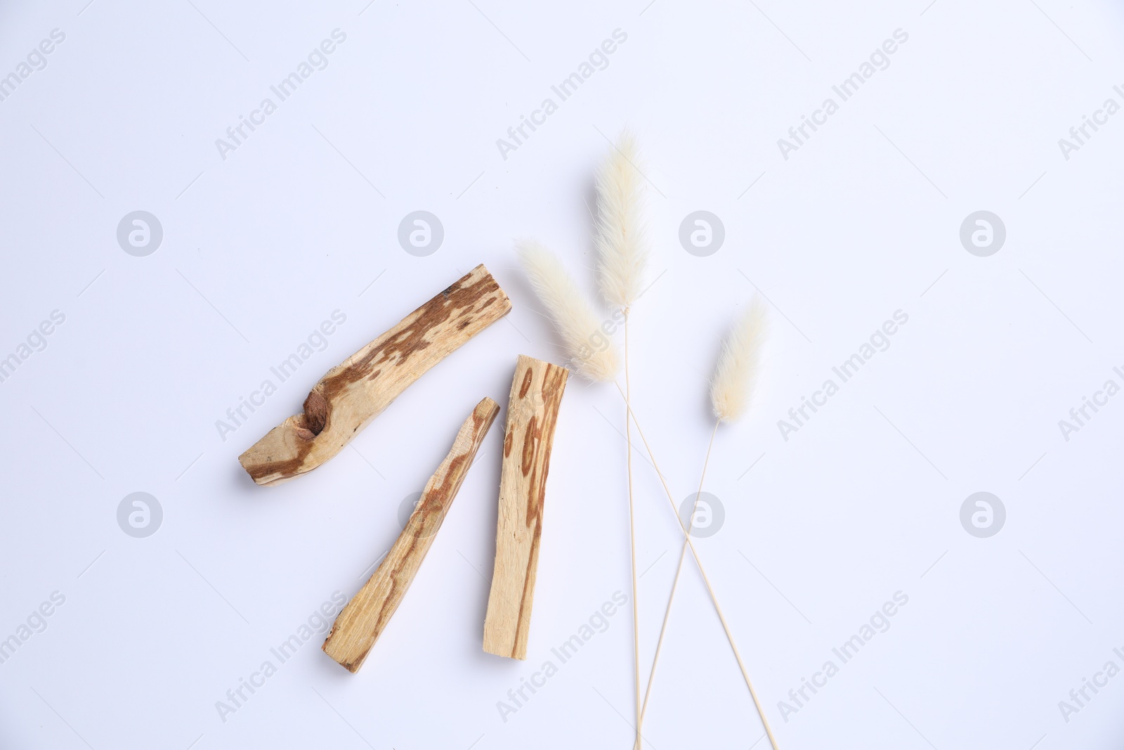 Photo of Palo santo sticks and dry spikes on white background, flat lay